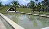 The Blue Water 